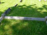 image of grave number 29235
